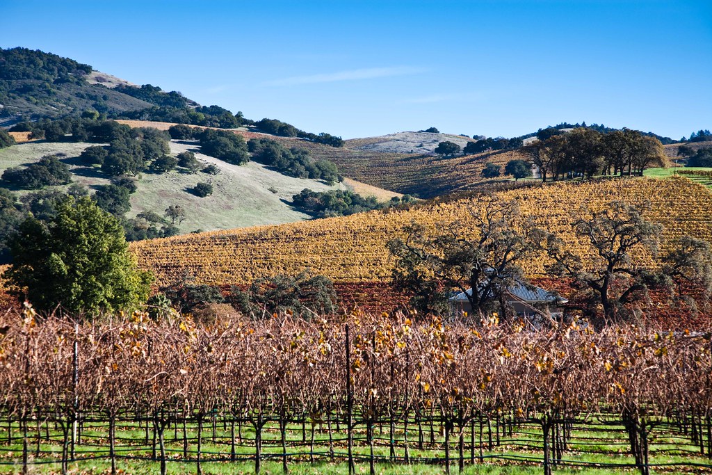 Kunde Sonoma County. Kunde Estate Vineyards. You can see t… Flickr