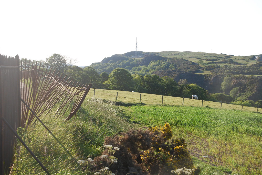 Blackford Hill, Edinburgh, June 2011 taken from Braid Hill… Flickr