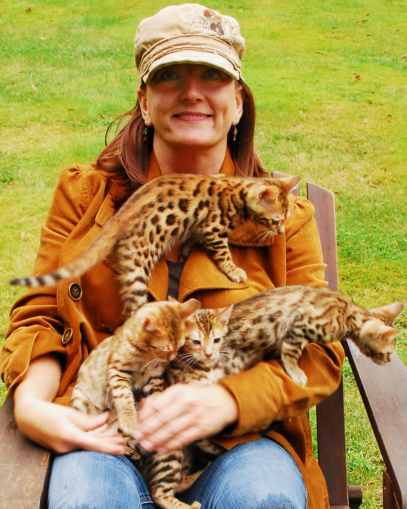 Teresa and kittens Traipse Exotics Bengal Kittens and Cats Flickr