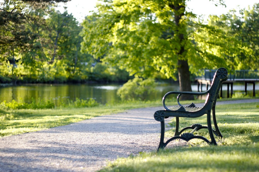 Sunset in the park Lakeside DR, Birmingham, MI. Romain Fleury Flickr
