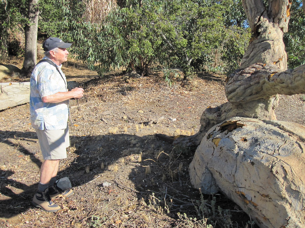 Jerry England Jerry is the author of "Reel Cowboys of the … Flickr