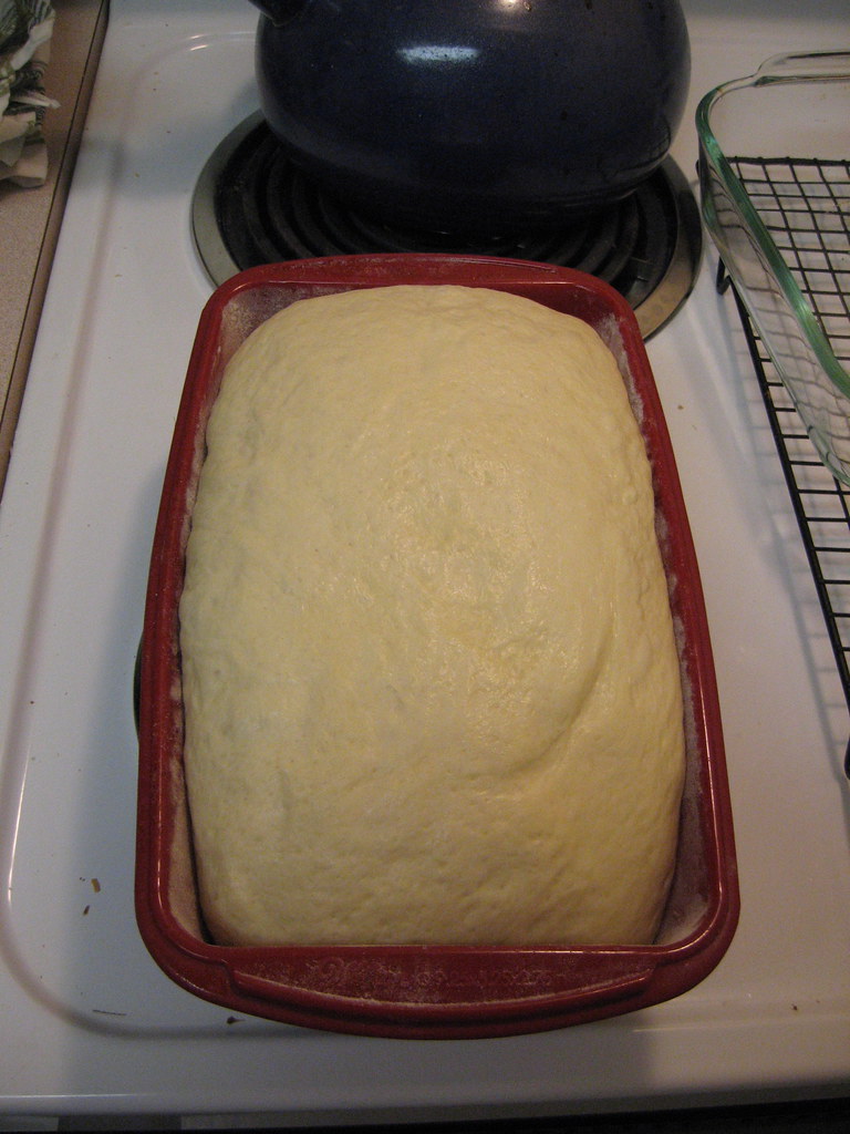 Bread dough after second rise Dev Librarian Flickr