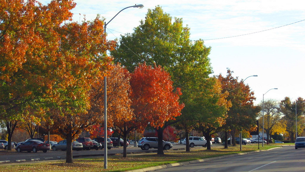 Topeka's Autumn Trees along SW Topeka Blvd fade color as a… Flickr