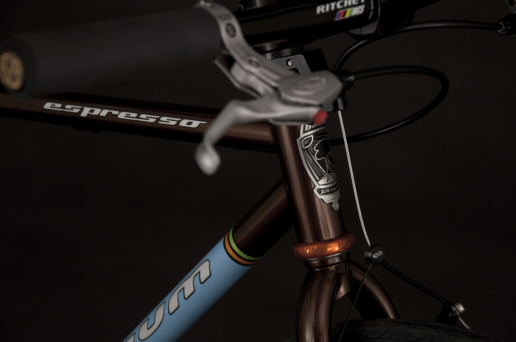 Single Band, Tobacco, Duck Egg Blue Espresso Baum Cycles Flickr