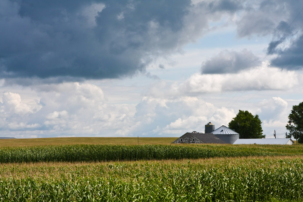 IMG_93503 A typical Iowa farm scene. Corn, along with hog… Flickr
