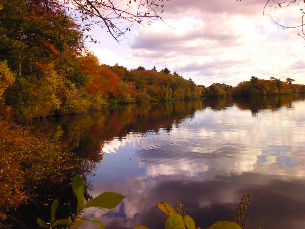 Photo0190 Jacob's Pond, Norwell Ali Crehan Flickr