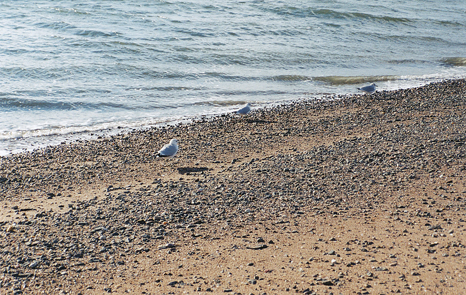 6252 Long Island Sound at New Haven, CT View from Fort