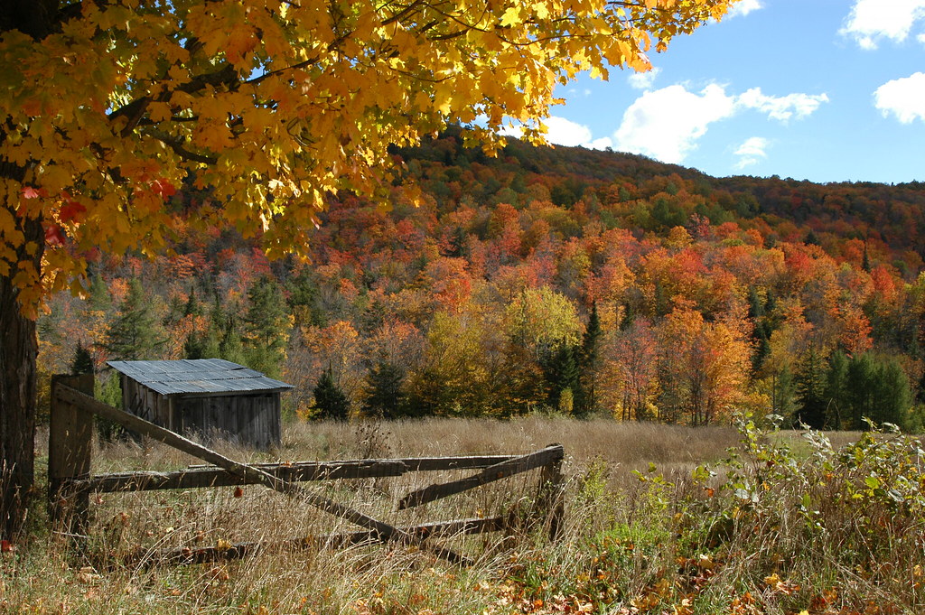 Autumn in Vermont East Montpelier Vt in all it's splendor jwalkr4