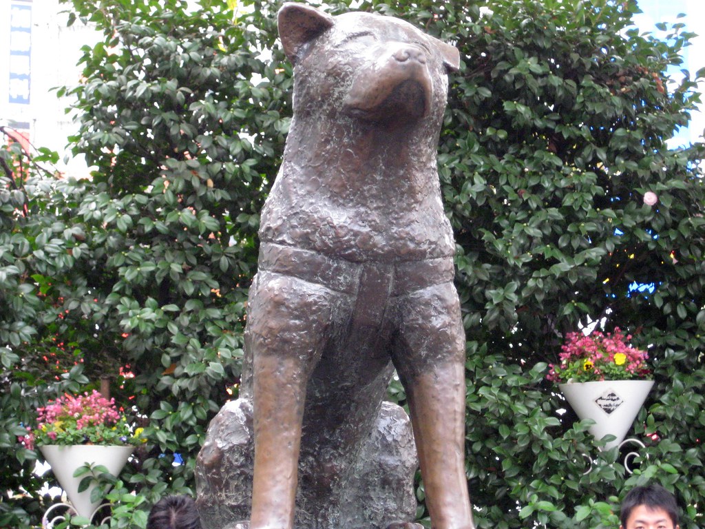 Hachiko Statue The world's most faithful dog. en.wikipedia… Flickr