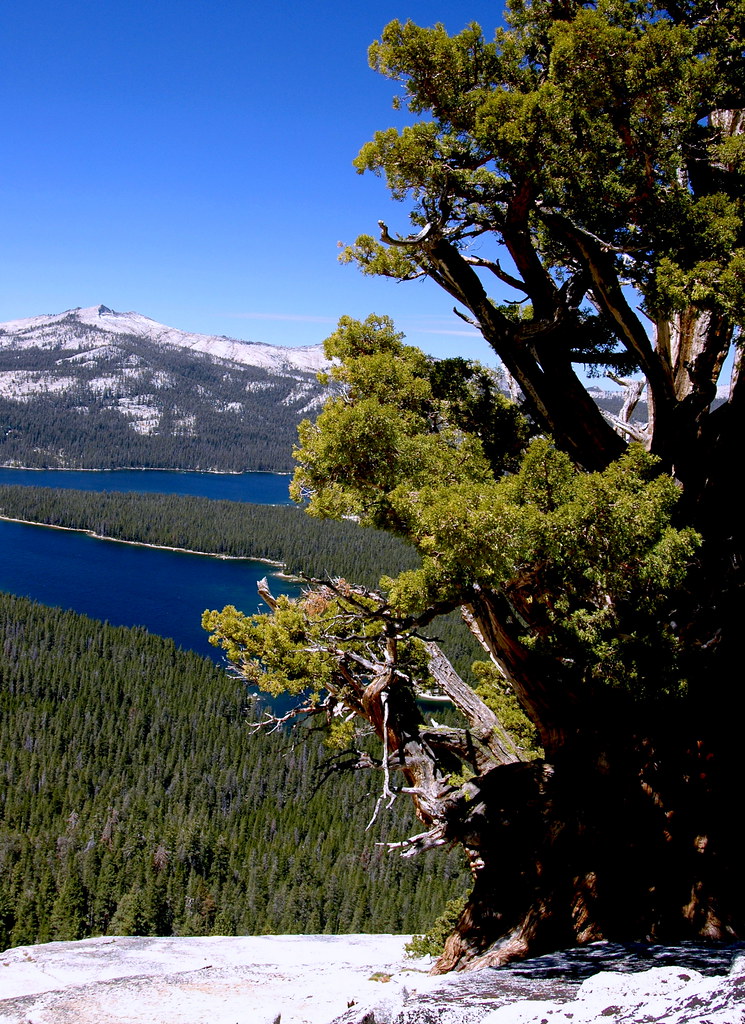 Courtright Reservoir, A view from the Dome 3 A view of Co… Flickr