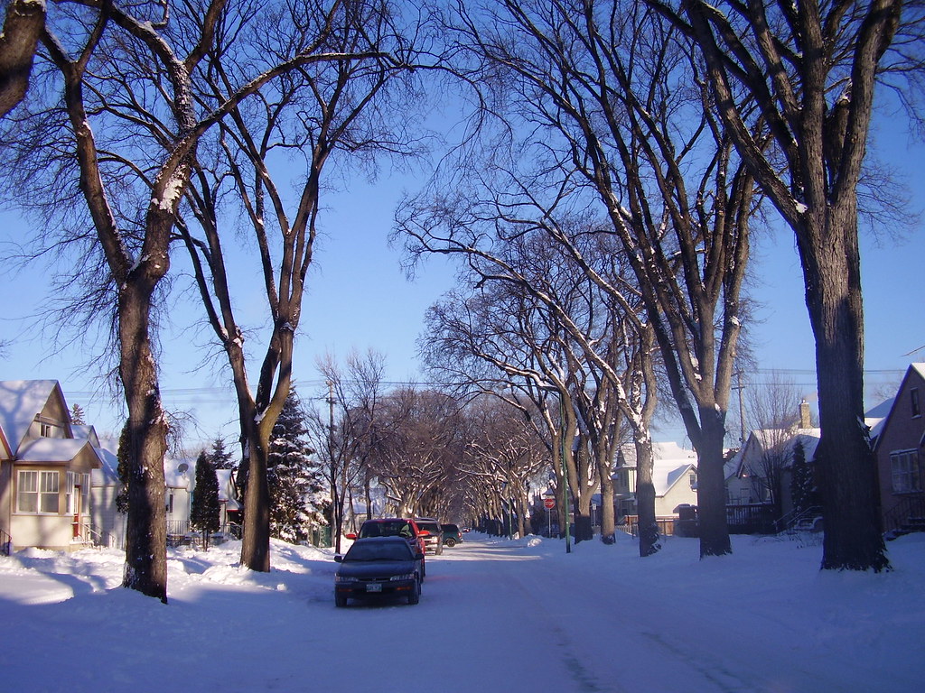 Lipton St. Winnipeg warrington73 Flickr