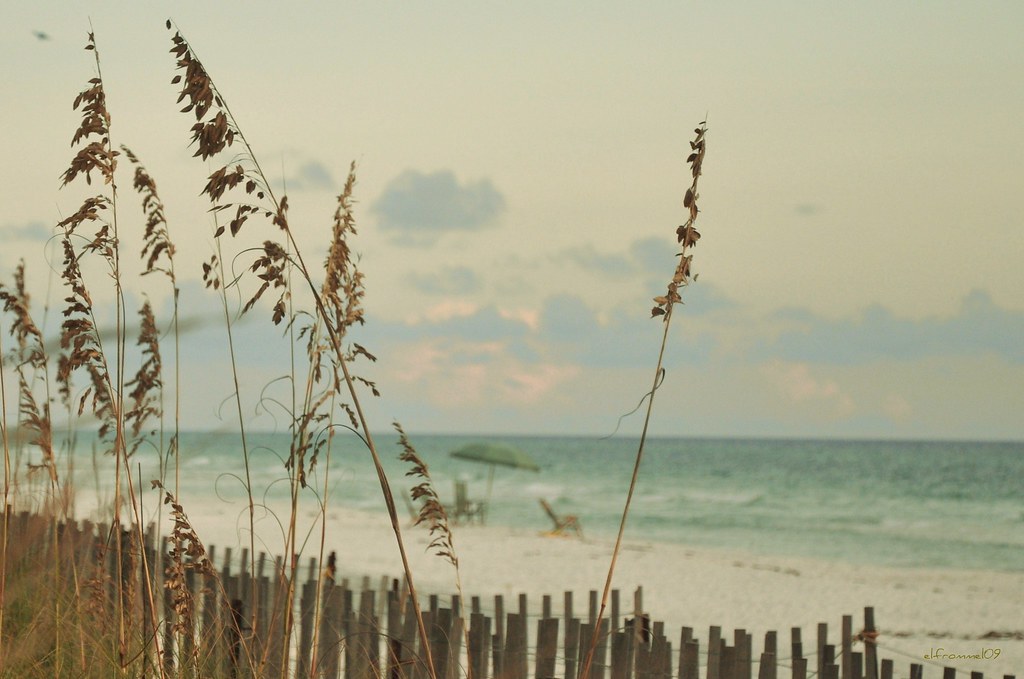 Beach chairs Seagrove Beach, FL Ellie Frommel Flickr