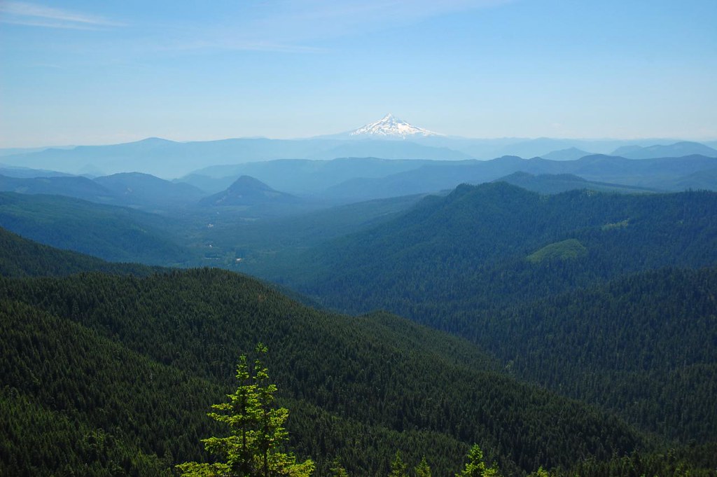 Trapper Creek Wilderness Looking south from Observation Pe… Flickr