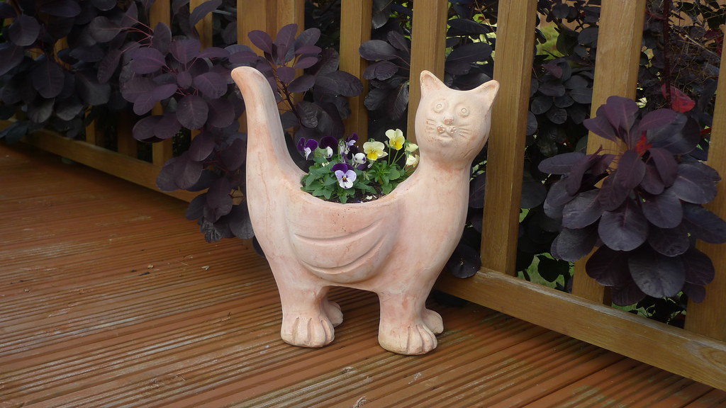 Terracotta Cat Planter Patricia's Photostream Flickr