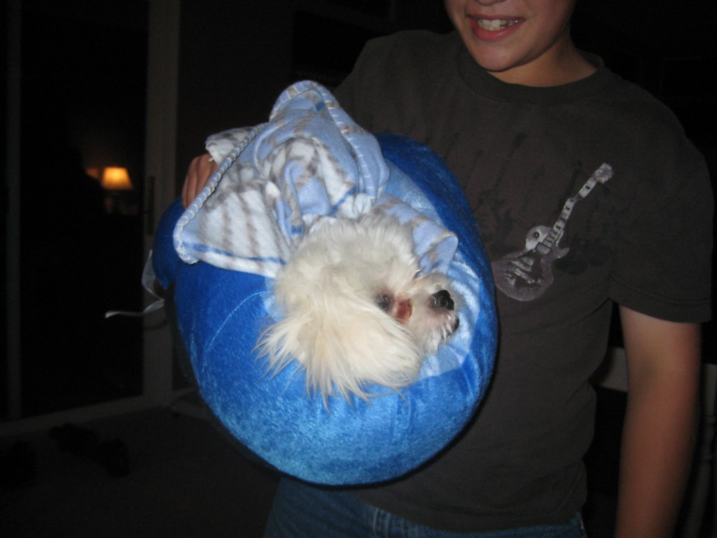 IMG_3380 Wendell Carpenter Flickr