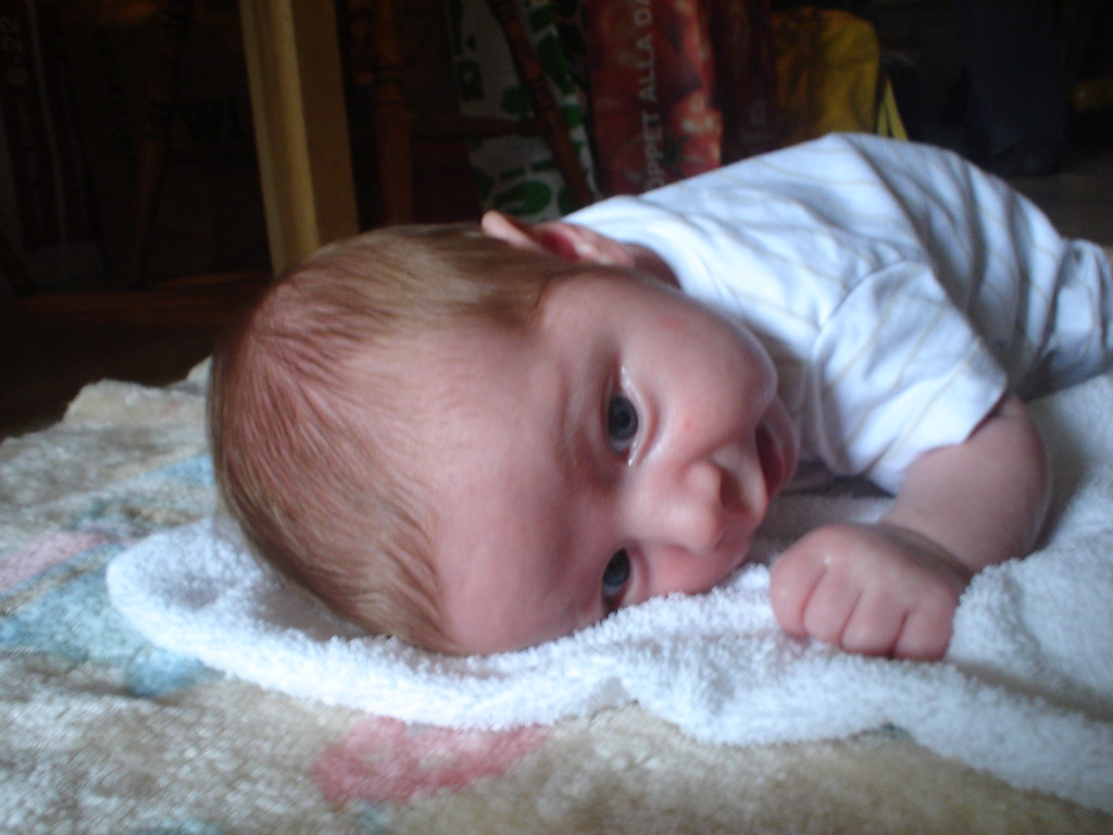 DSC09256 Trött blir man av att hålla upp huvudet. darnia Flickr