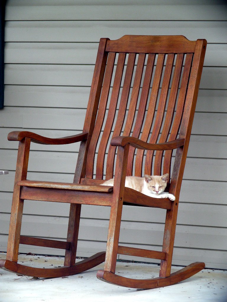 why do cats love to rock? frankieleon Flickr