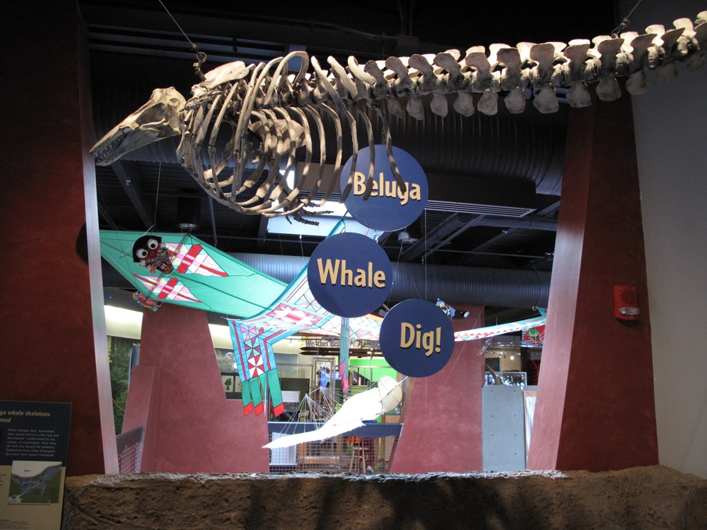 Vermont October 2009 ECHO Lake Aquarium and Science Center… Gene