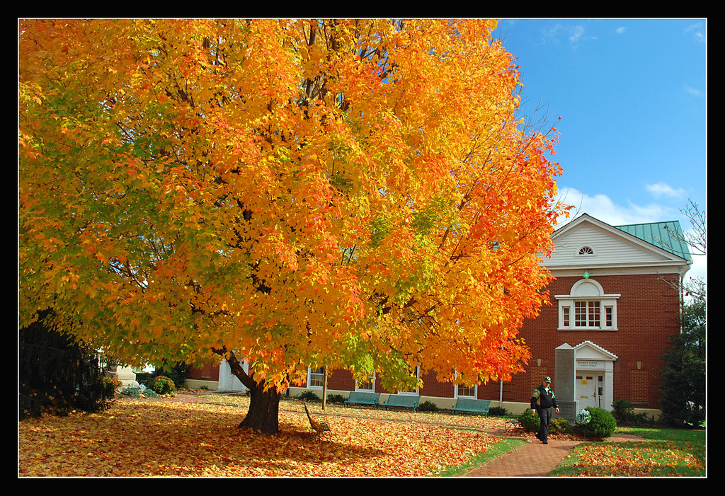 Autumn in Madison, Virginia The beautiful little town of M… Flickr