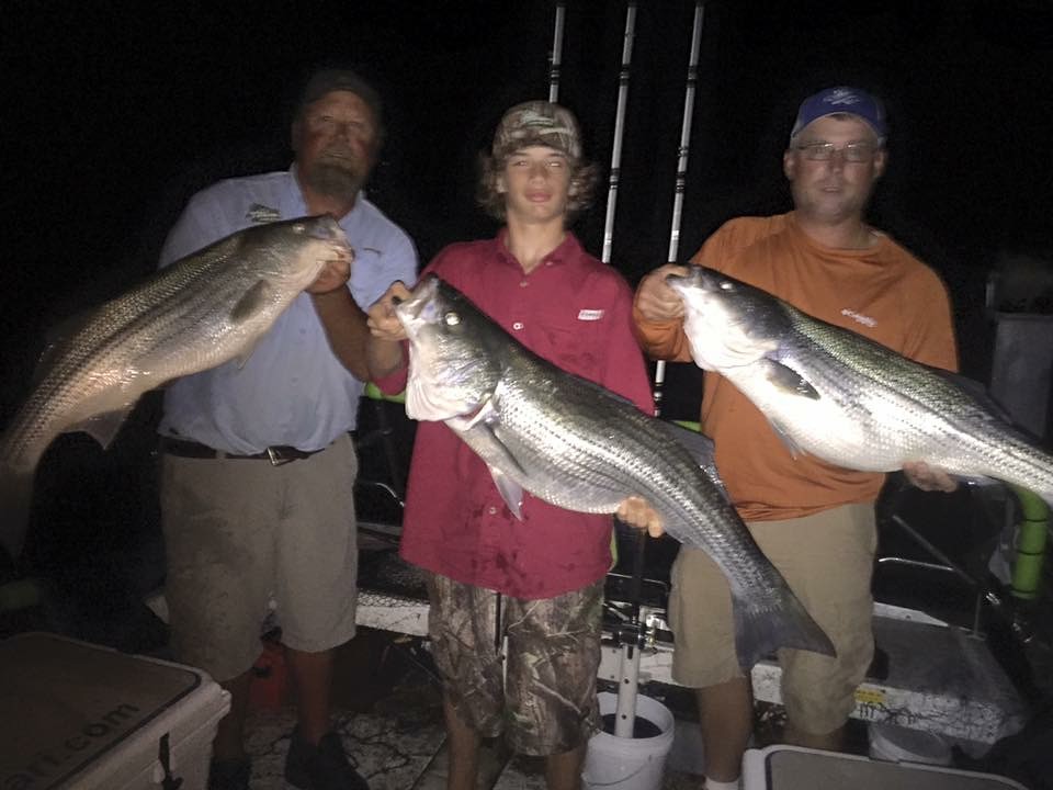 Beaver Lake Striper Fishing Guide Rogers Arkansas. Beaver,… Flickr