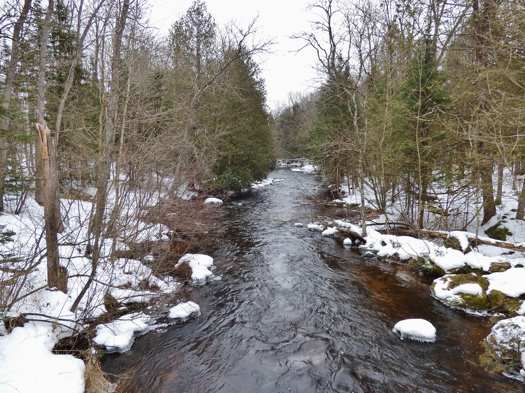 22 Little Wolf River at Ness Rd. 12817 Waupaca County, W… Flickr