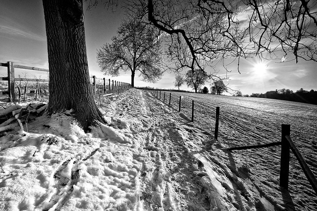 Crazies Hill II mikerob_s Flickr