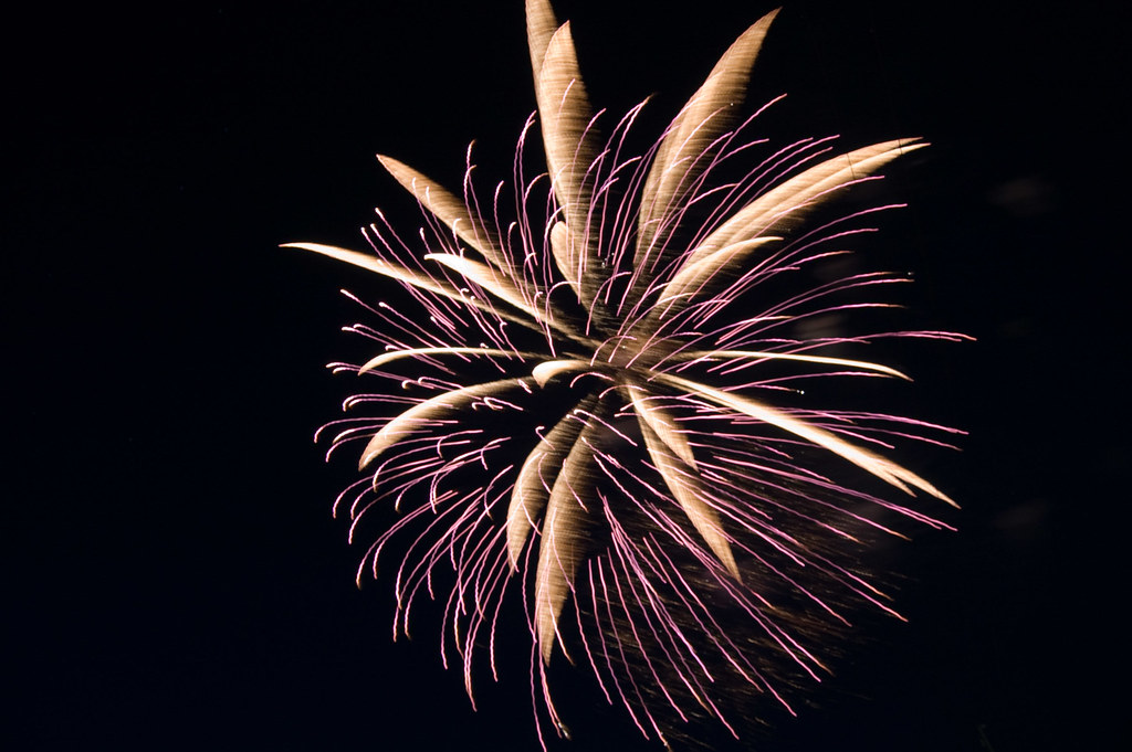 July Fourth 2009, Branford Florida Dorothy Finley Flickr