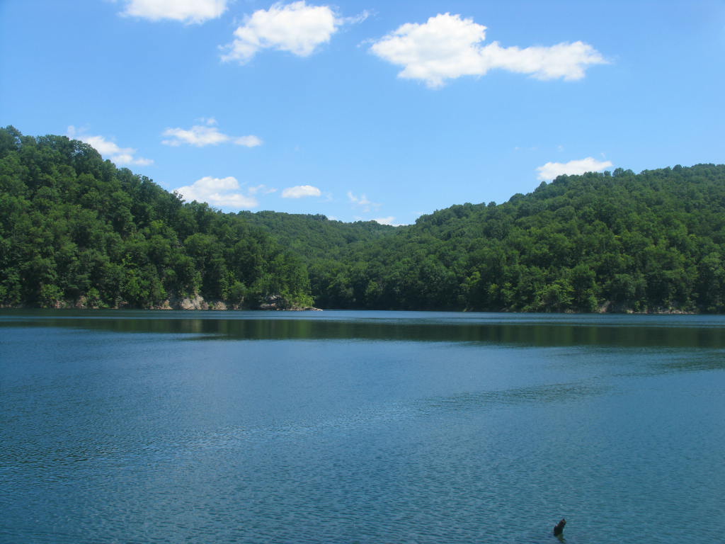 Above Sutton Dam back waters. Sutton, WV Robert Conrad Flickr