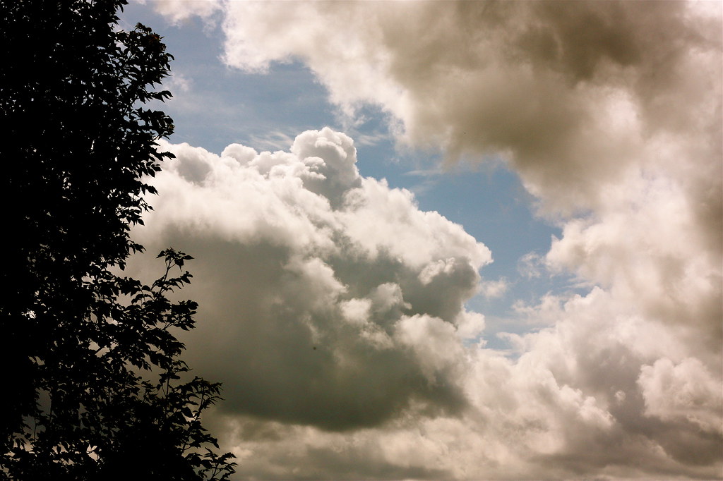 More than a patch of blue sky is good enough for me Flickr