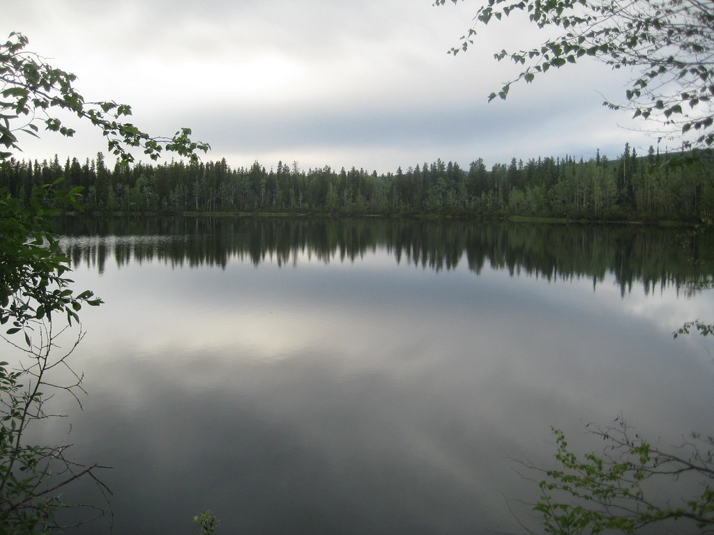 Whitehorse To Watson Lake, Yukon, July 2, 2009 (Day 5, Alaska Highway