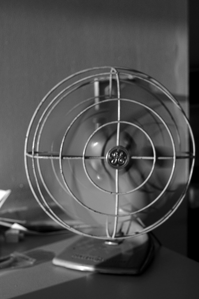 fan a photo on Flickriver