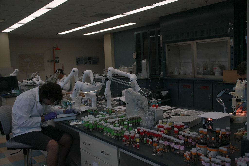 Sample processing in the Preserved Biology Laboratory Flickr