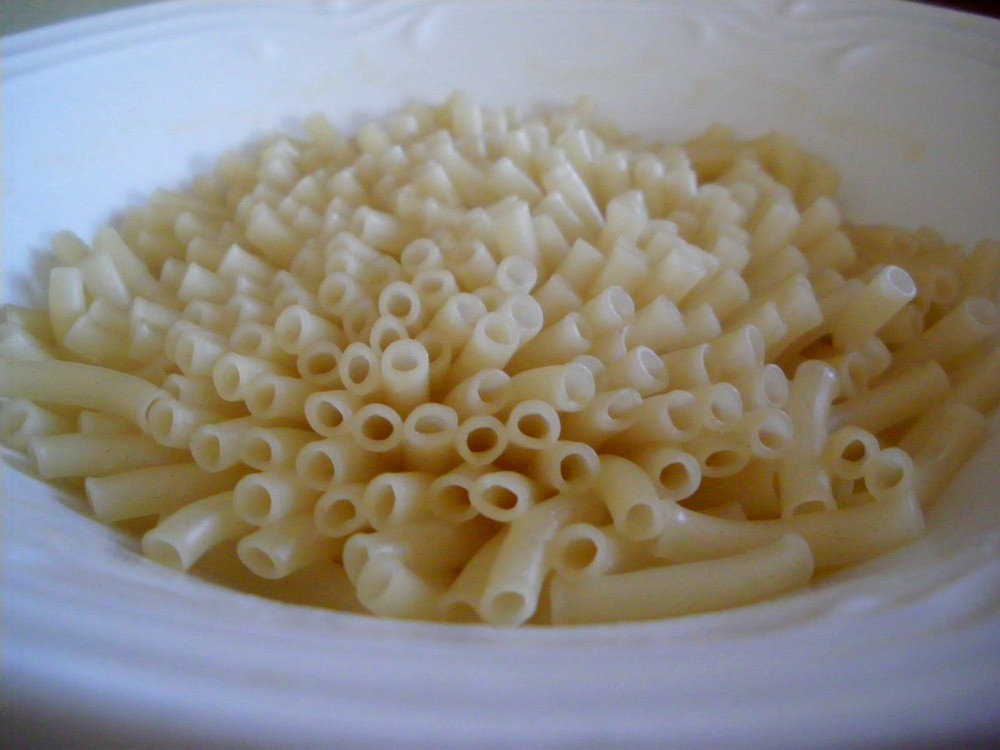 Easy Mac Noodle Anenome I thought my easy mac noodles look… Flickr
