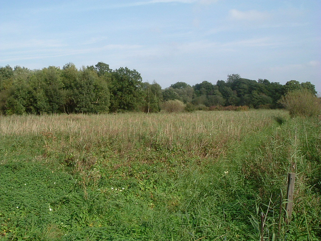 Narborough Bog Leicestershire & Rutland Wildlife Trust Flickr