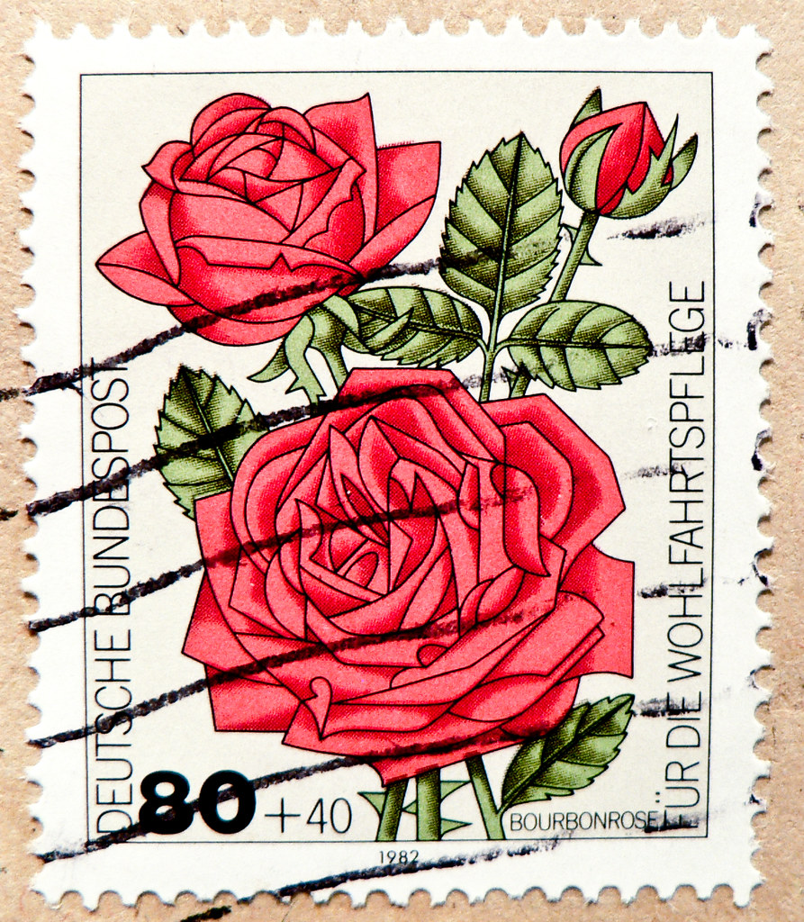 beautiful stamp Germany 80pf. (Rosa borboniana, Bourbonros… Flickr