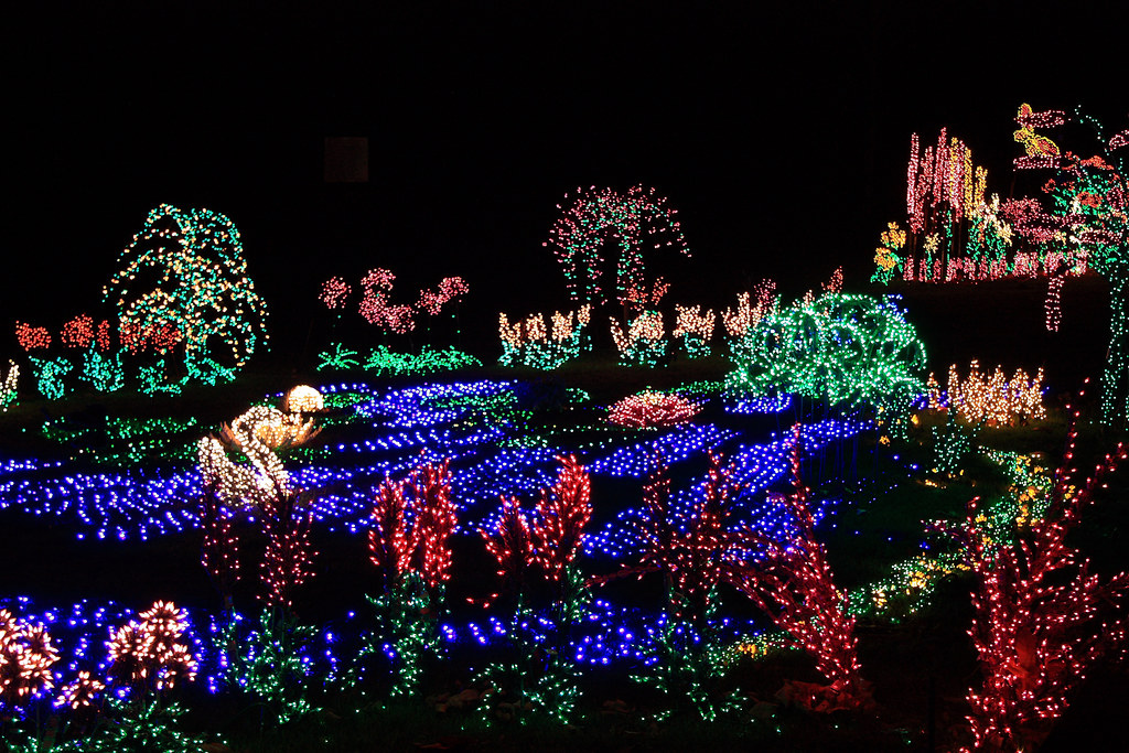 Garden D'Lights Bellevue Botanical Gardens Sean O'Neill Flickr