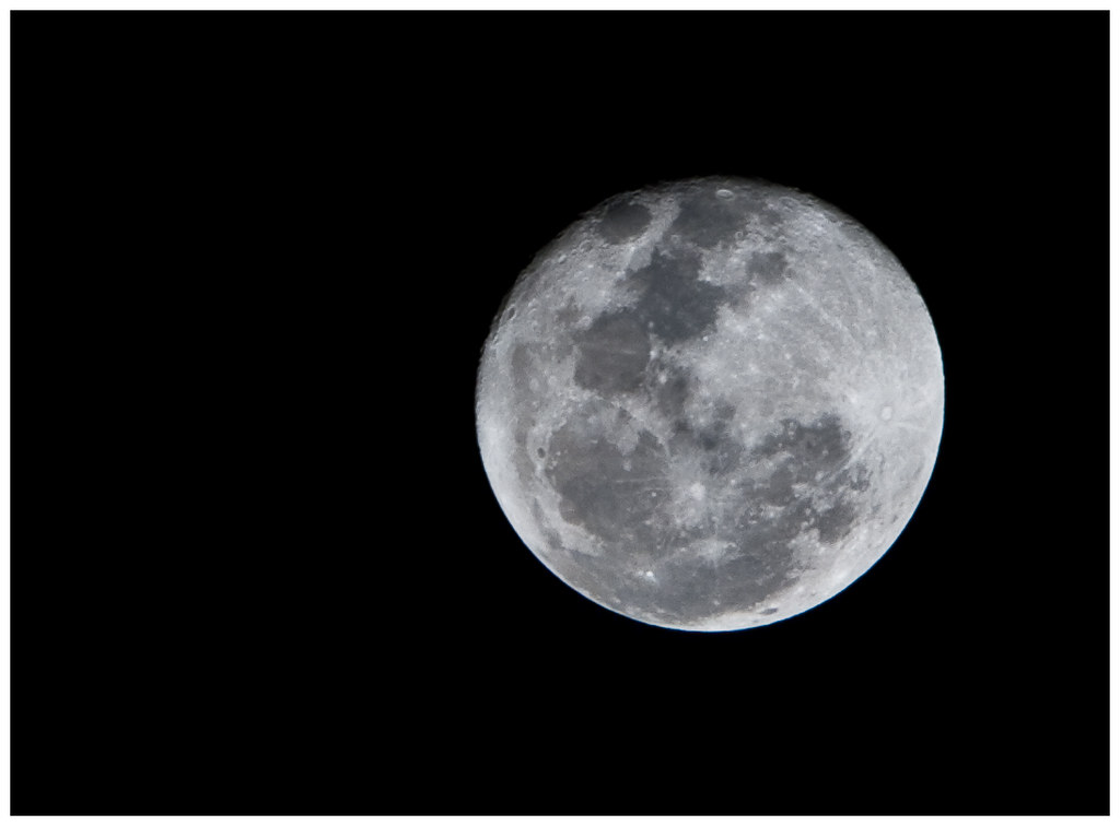 Rabbit in the Moon! [12 of 365] Saw all the cool kids