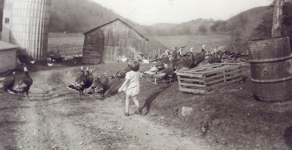 Farming in Star Valley, Wisconsin (1941) My cousin Dorothy… Flickr