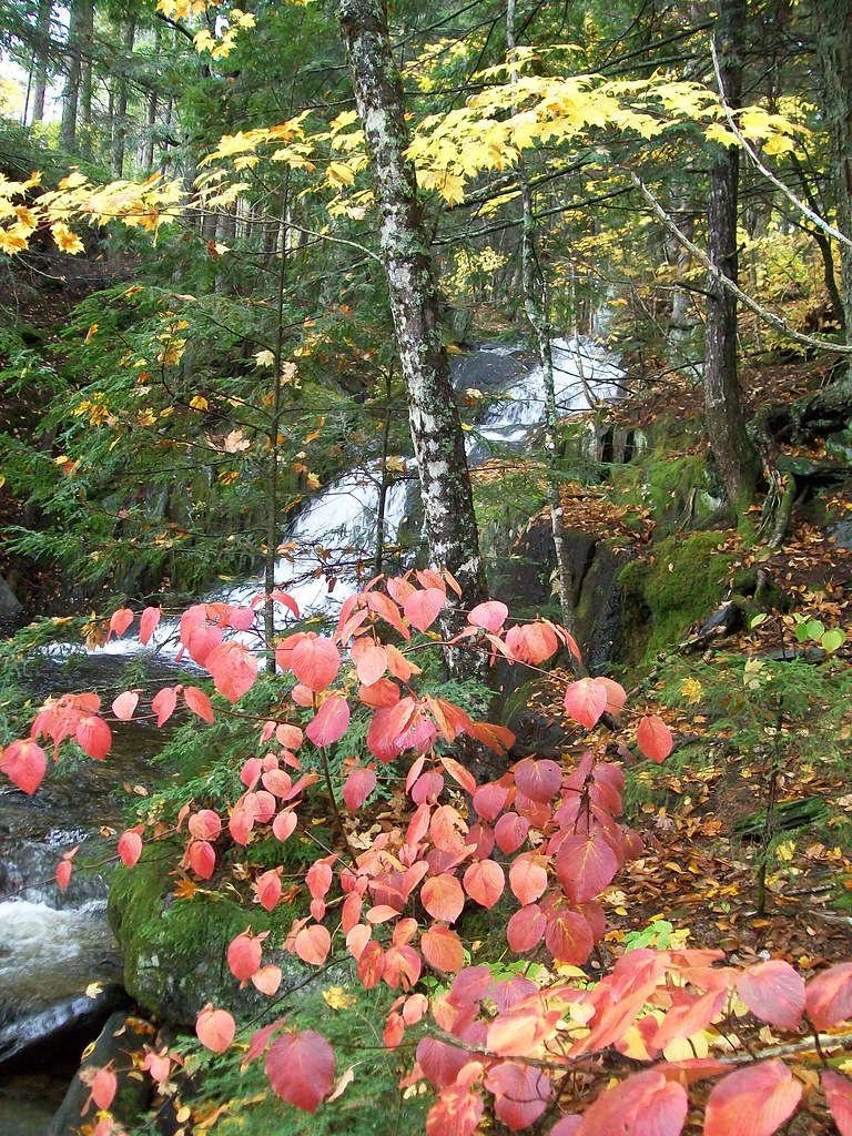 Southern Piscataquis Waterfall Hike 101009 Bottle Brook,… Flickr