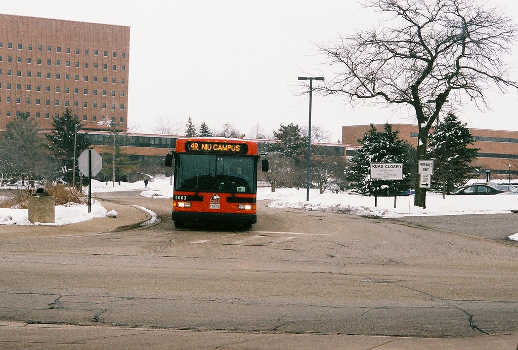 Huskie Bus Line Michelle Reitman Flickr