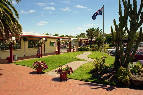 Gardenworld From the archives Gardenworld Nursery in the … Flickr