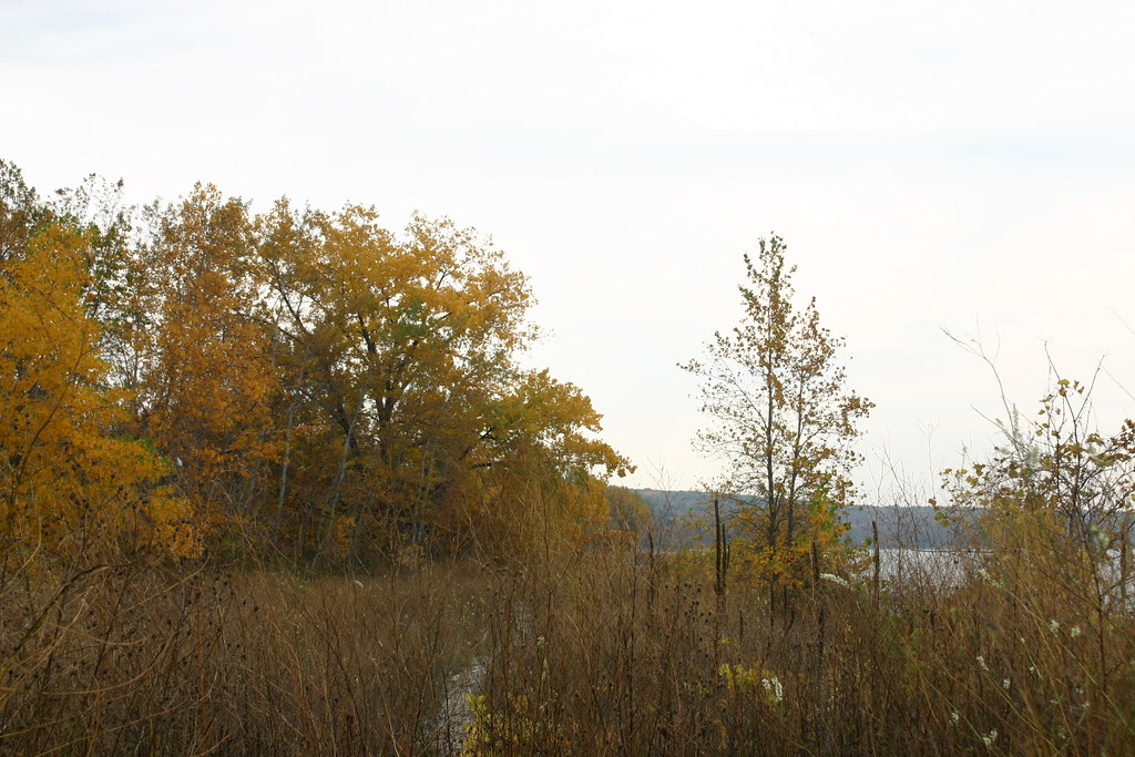IMG_2572 Olde Stone Quarry County Park, Sturgeon Bay, Door… Flickr