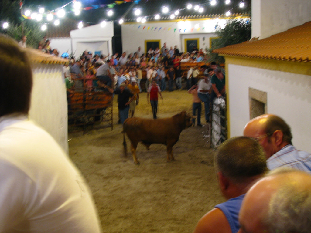 Holiday Village Bull Run at Blake Austria blog