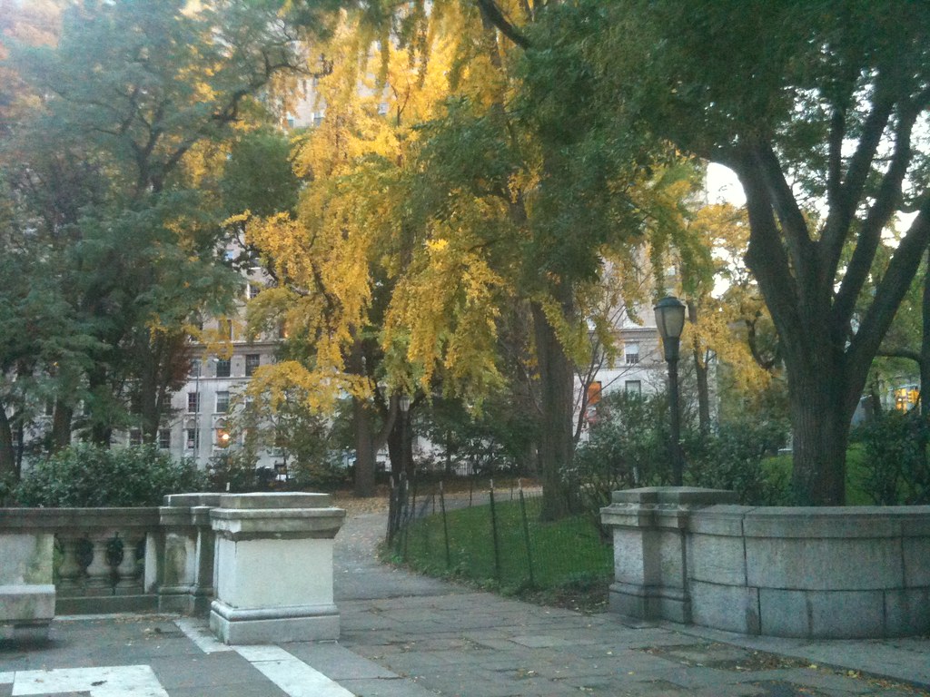 Small parks, squares, and public gardens (New York) Flickr