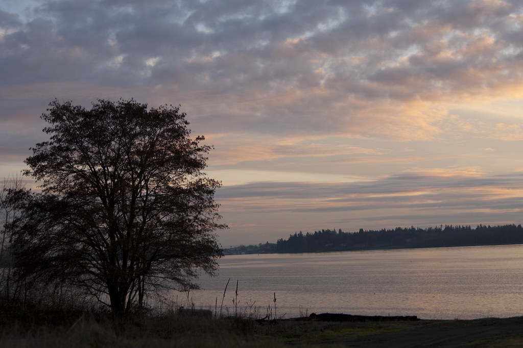 Jan092010_Woodland Bottoms_0008_1 Tiff Renae Flickr