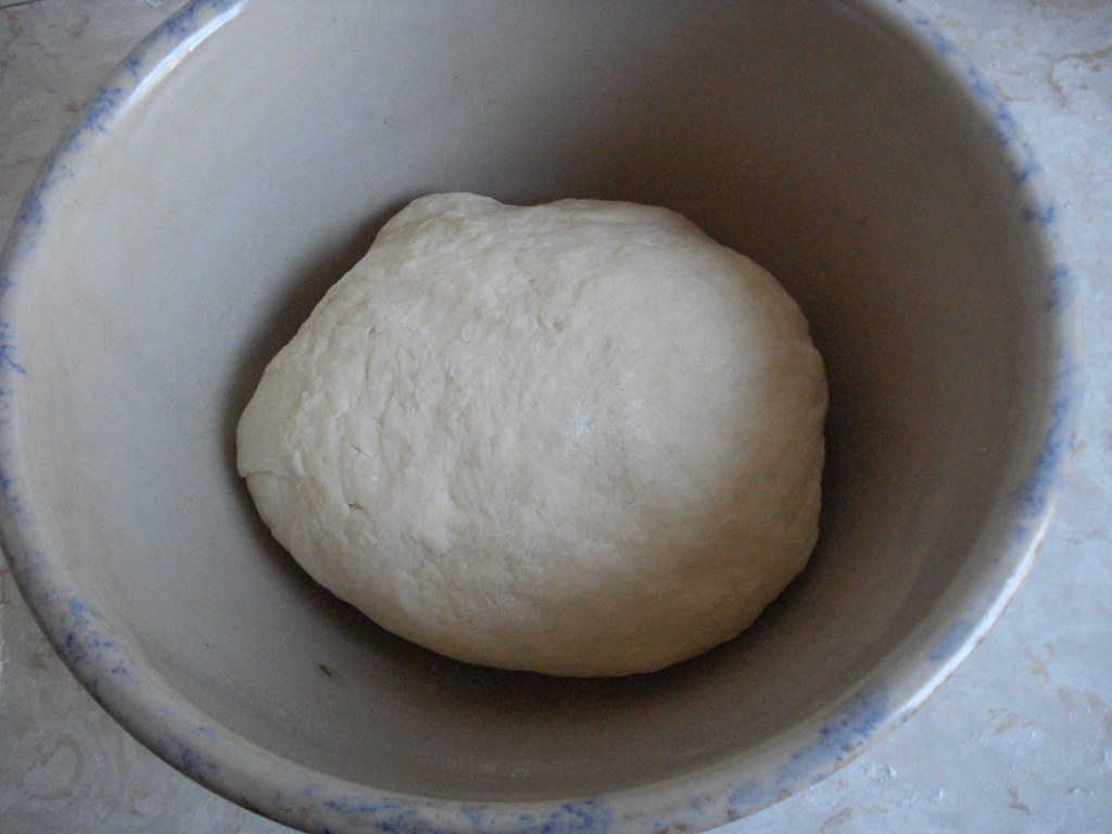 DoughInBowlToRise Sour cream bread dough, ready for first … Amy