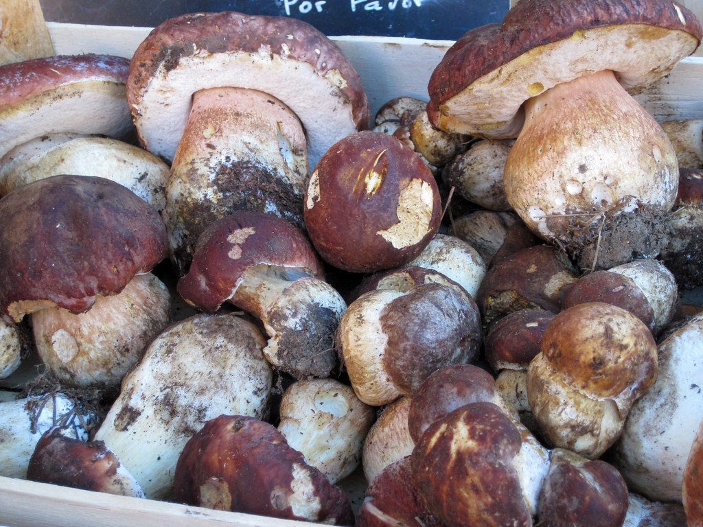fat mushrooms in Nice France artnbarb Flickr