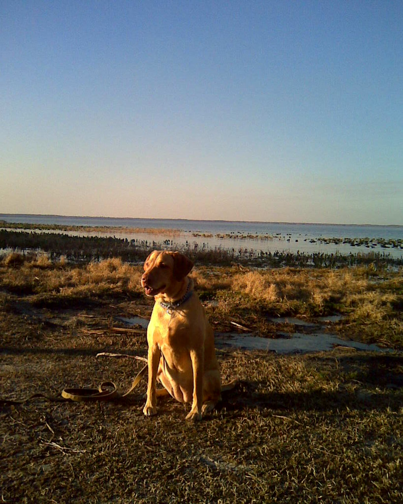lochloosa lake, fl catching the sights along lochloosa lak… Flickr