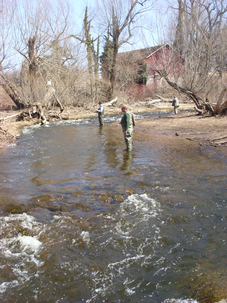 Beechwood State Park Sodus, New York Beechwood State Par… Flickr