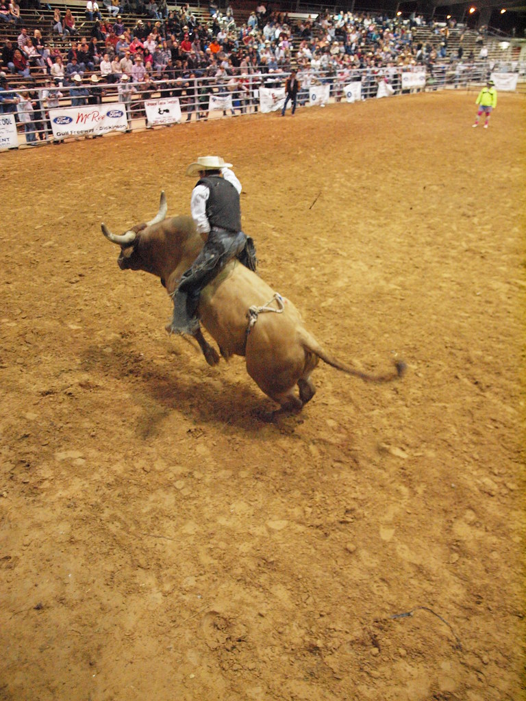 Hitchcock Texas Galveston County Fair Rodeo Fairgrounds NP… Flickr